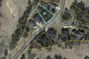 129 Peppermint Ln, Blythewood, SC 29016 - Photo 1
