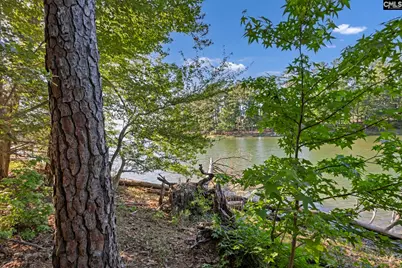 0 Lominack Road, Prosperity, SC 29127 - Photo 19