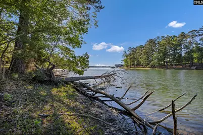 0 Lominack Road, Prosperity, SC 29127 - Photo 3