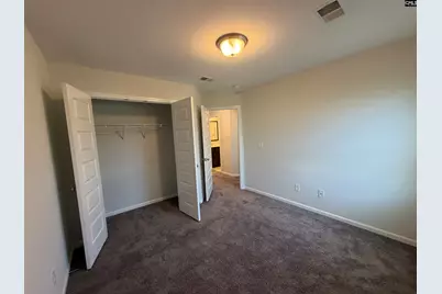1106 Bergenfield Lane, Chapin, SC 29036 - Photo 19