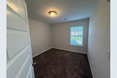 1106 Bergenfield Lane, Chapin, SC 29036 - Photo 17