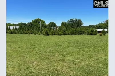Tbd Shady Acres Drive, Chapin, SC 29036 - Photo 5