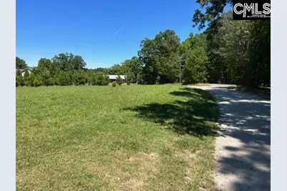 Tbd Shady Acres Drive, Chapin, SC 29036 - Photo 3