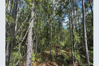 679 Deer Run Avenue, Georgetown, SC 29440 - Photo 5