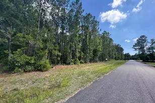 679 Deer Run Ave, Georgetown, SC 29440 - Photo 1