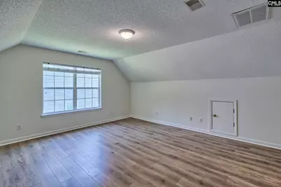 240 Cabin Drive, Irmo, SC 29063 - Photo 29