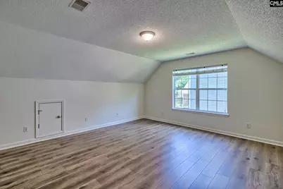 240 Cabin Drive, Irmo, SC 29063 - Photo 33