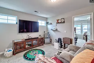 87 Texas Black Way, Elgin, SC 29045 - Photo 27
