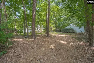 221 Baron Rd, Lexington, SC 29072 - Photo 43
