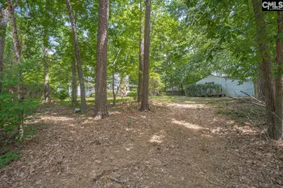 221 Baron Road, Lexington, SC 29072 - Photo 41