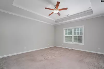 714 Long Iron Lane, Blythewood, SC 29016 - Photo 11
