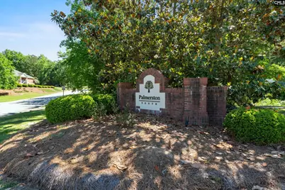 202 Hope Trace Way, Irmo, SC 29063 - Photo 35