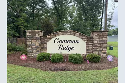 6035 Silver Mustang Lane, Columbia, SC 29209 - Photo 7