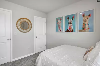 6033 Silver Mustang Lane, Columbia, SC 29209 - Photo 47