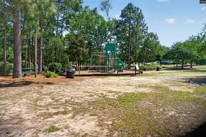 160 Star Hill Lane, Lexington, SC 29072 - Photo 67