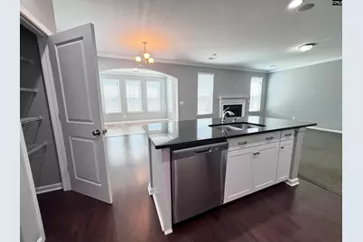 226 Sallie Gordon Lane, Elgin, SC 29045 - Photo 13