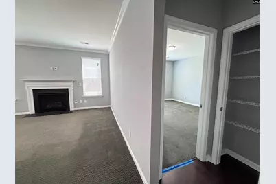 226 Sallie Gordon Lane, Elgin, SC 29045 - Photo 15