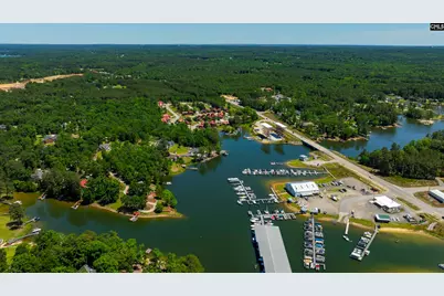 171 Marina Cove Drive, Gilbert, SC 29054 - Photo 37