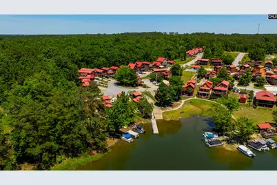 171 Marina Cove Drive, Gilbert, SC 29054 - Photo 33