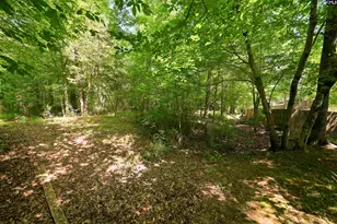 204 Saints Creek Ln, Irmo, SC 29063 - Photo 45