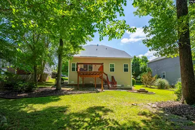 204 Saints Creek Lane, Irmo, SC 29063 - Photo 35