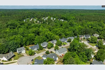 204 Saints Creek Lane, Irmo, SC 29063 - Photo 53