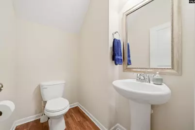 204 Saints Creek Lane, Irmo, SC 29063 - Photo 17