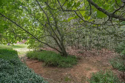 5204 Glenmount Street, Columbia, SC 29212 - Photo 29