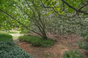 5204 Glenmount St, Columbia, SC 29212 - Photo 29