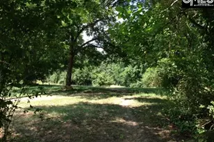 11232 Broad River Rd Rd, Irmo, SC 29063 - Photo 13