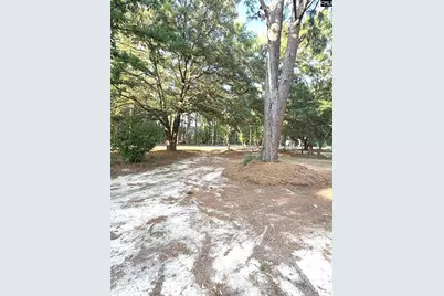 123 Mack Edisto Road, Swansea, SC 29160 - Photo 19