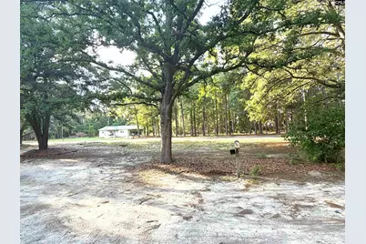 123 Mack Edisto Road, Swansea, SC 29160 - Photo 1