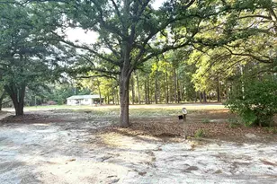123 Mack Edisto Rd, Swansea, SC 29160 - Photo 1