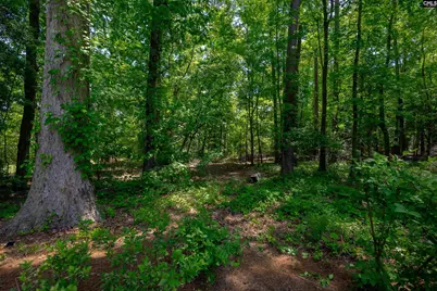 364 Governors Grant Boulevard, Lexington, SC 29072 - Photo 59