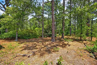 614 Longs Pond Road, Lexington, SC 29073 - Photo 75