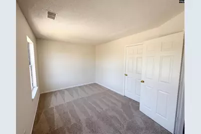 213 Elders Pond Drive, Columbia, SC 29229 - Photo 13