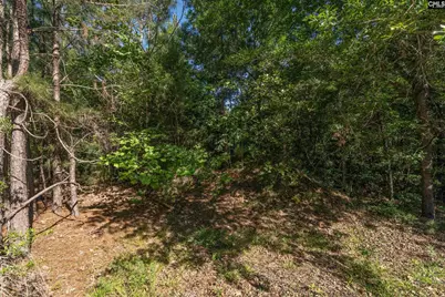 212 Lake Carolina Boulevard, Columbia, SC 29229 - Photo 27