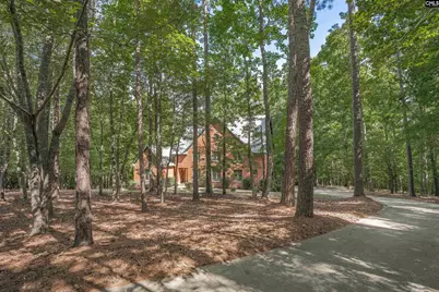 217 Ashley Oaks Drive, Blythewood, SC 29016 - Photo 39
