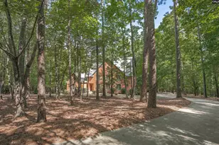 217 Ashley Oaks Dr, Blythewood, SC 29016 - Photo 39