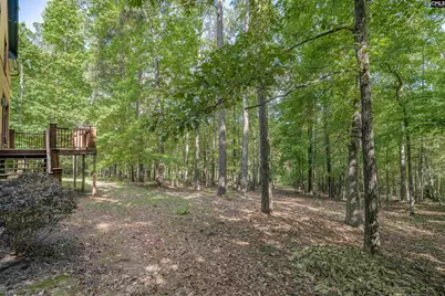 217 Ashley Oaks Drive, Blythewood, SC 29016 - Photo 35