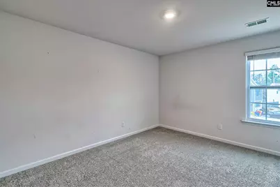 116 Rushton Drive, Chapin, SC 29036 - Photo 31
