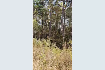 4079 Jefferson Davis Highway, Bethune, SC 29009 - Photo 11