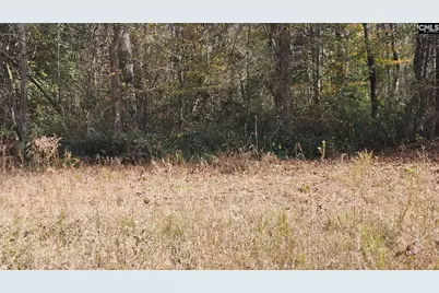 4079 Jefferson Davis Highway, Bethune, SC 29009 - Photo 1
