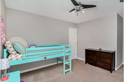 86 Crossfox Court, Chapin, SC 29036 - Photo 19