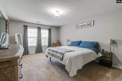 265 Farming Creek Way, Lexington, SC 29072 - Photo 17