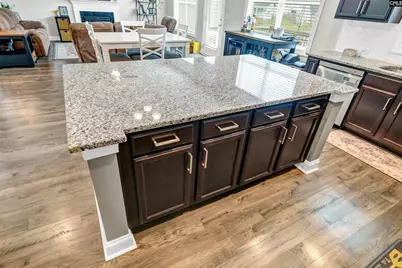 304 Springbrook Way, Chapin, SC 29036 - Photo 19