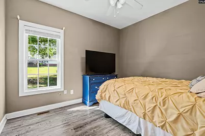 410 Highwater Court, Chapin, SC 29036 - Photo 19