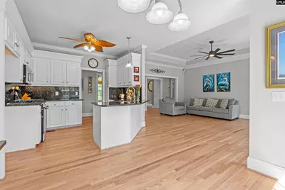 410 Highwater Court, Chapin, SC 29036 - Photo 9