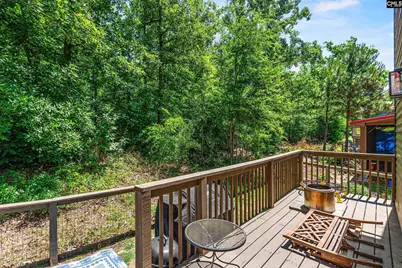 233 Marina Cove Drive, Gilbert, SC 29054 - Photo 23