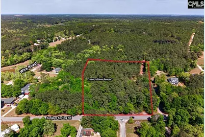 219 Juniper Springs Road Parcel A &amp;b, Gilbert, SC 29054 - Photo 1